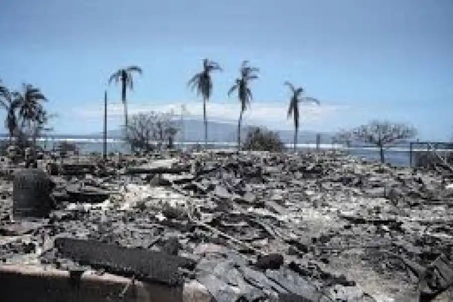 Demanda contra el principal proveedor de electricidad de Hawái por los fatales incendios