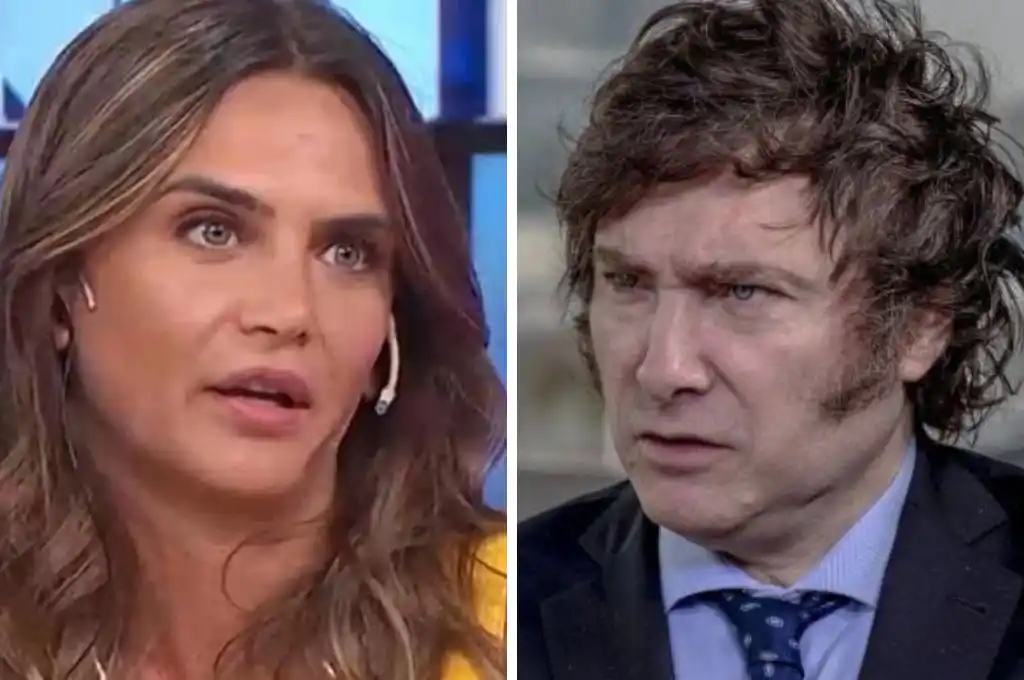 "Falta empatía y no tanta teoría", opinó Granata.