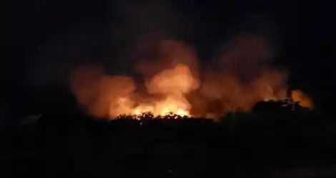 Incendio de pastizales en zona puerto