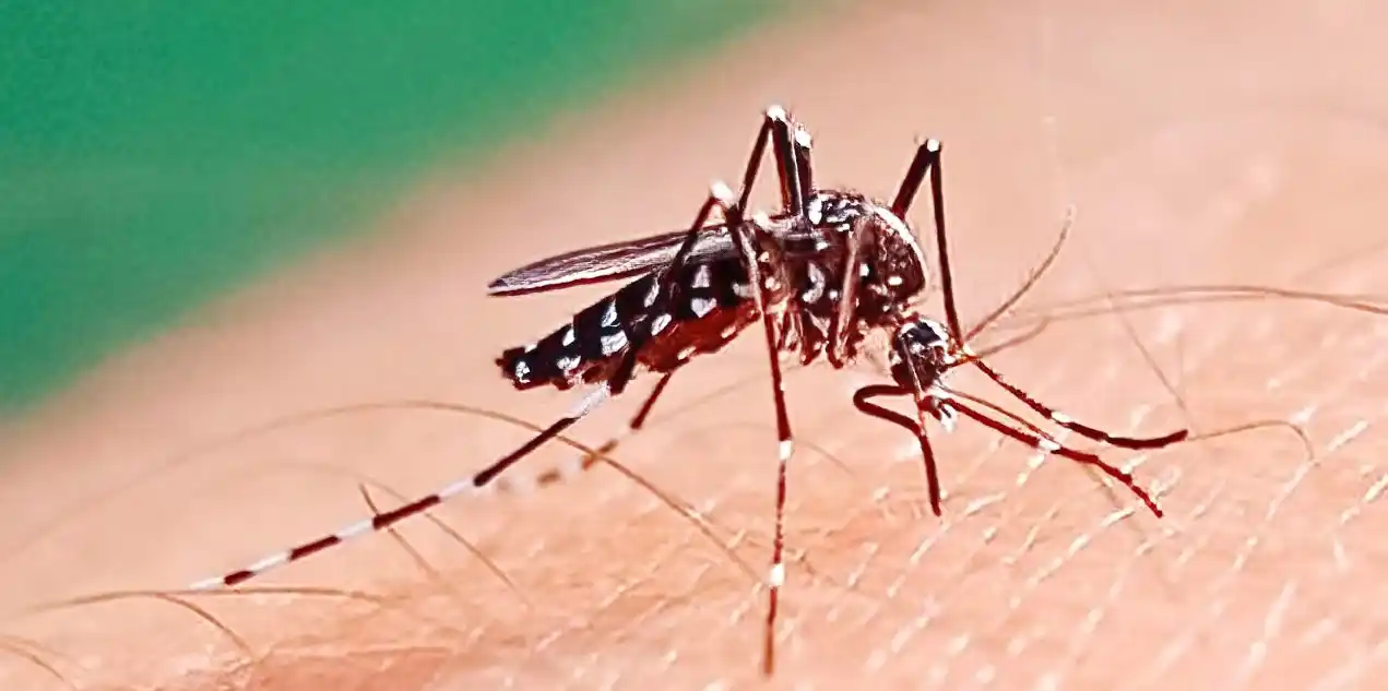 Salud provincial confirmó el fallecimiento de un paciente con dengue