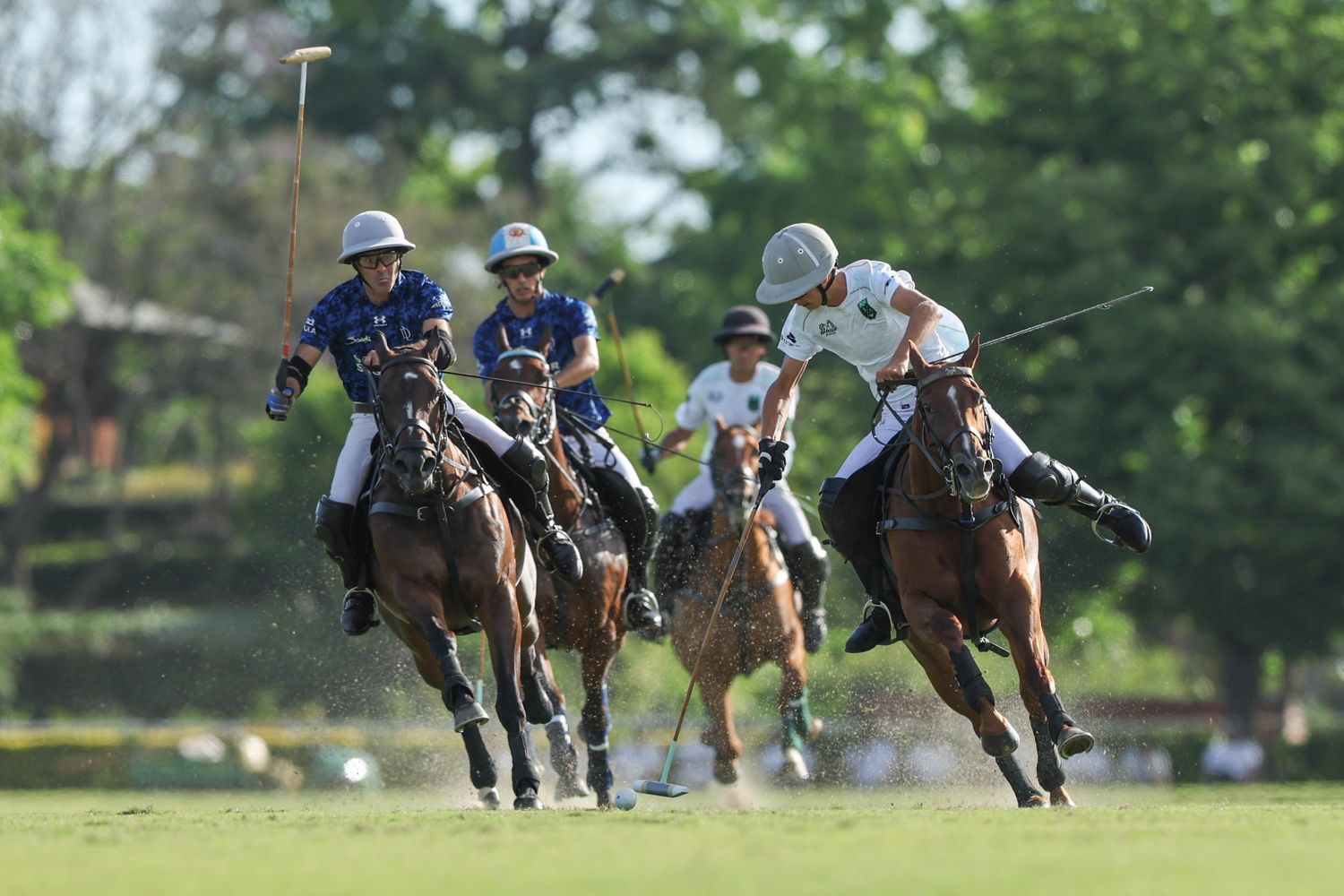 FOTO SANTIAGO YOUNG El Abierto de Tortugas tiene sus finalistas.