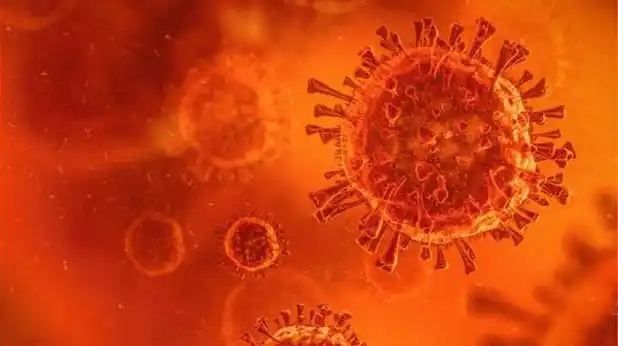 #Coronavirus Parte 7 de enero de 2022: 110.533 casos y 42 muertes informadas en las últimas 24 horas