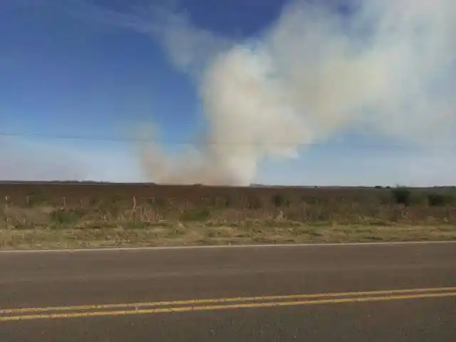 Continua la quema indiscriminada de pastizales e islas