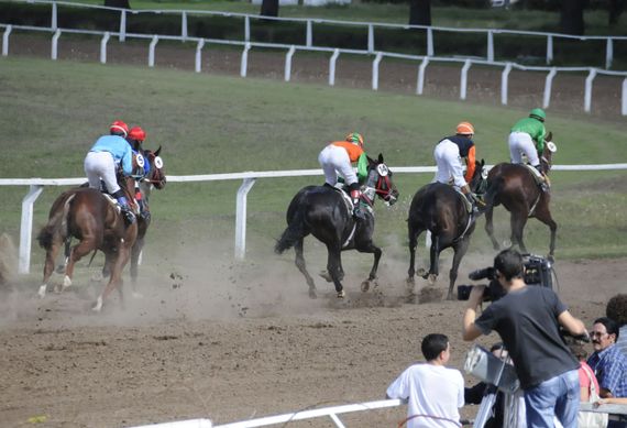 Murió un caballo en plena carrera y generó el rechazo de activistas