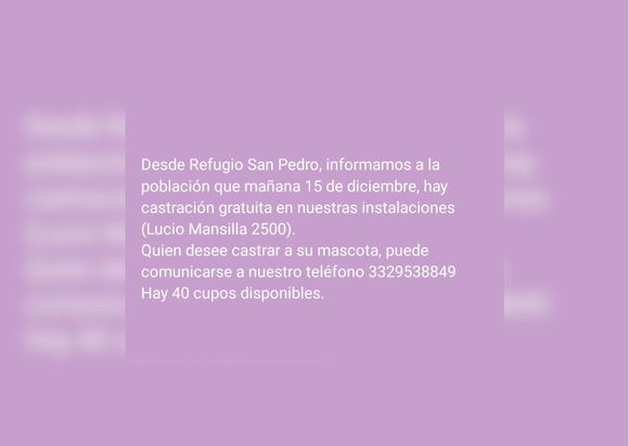 Castraciones gratis este viernes en el Refugio San Pedro