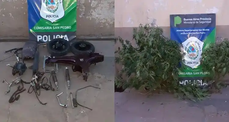 Allanaron una casa y encontraron motopartes robadas y tres plantas de marihuana