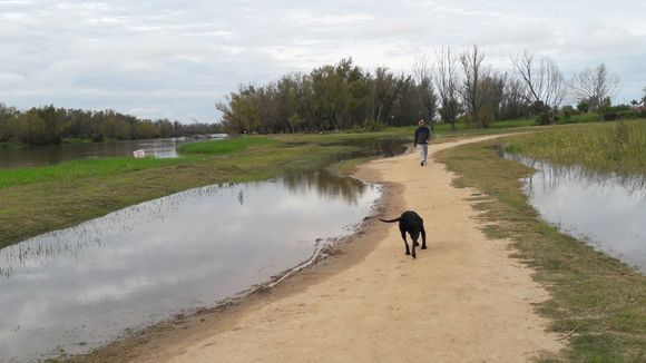 Perros en el Paseo Público: hay una norma que prohíbe ingresar con mascotas