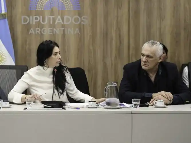 La oposición rechaza la reunión de DD. HH. 
en Formosa acusando fines electorales