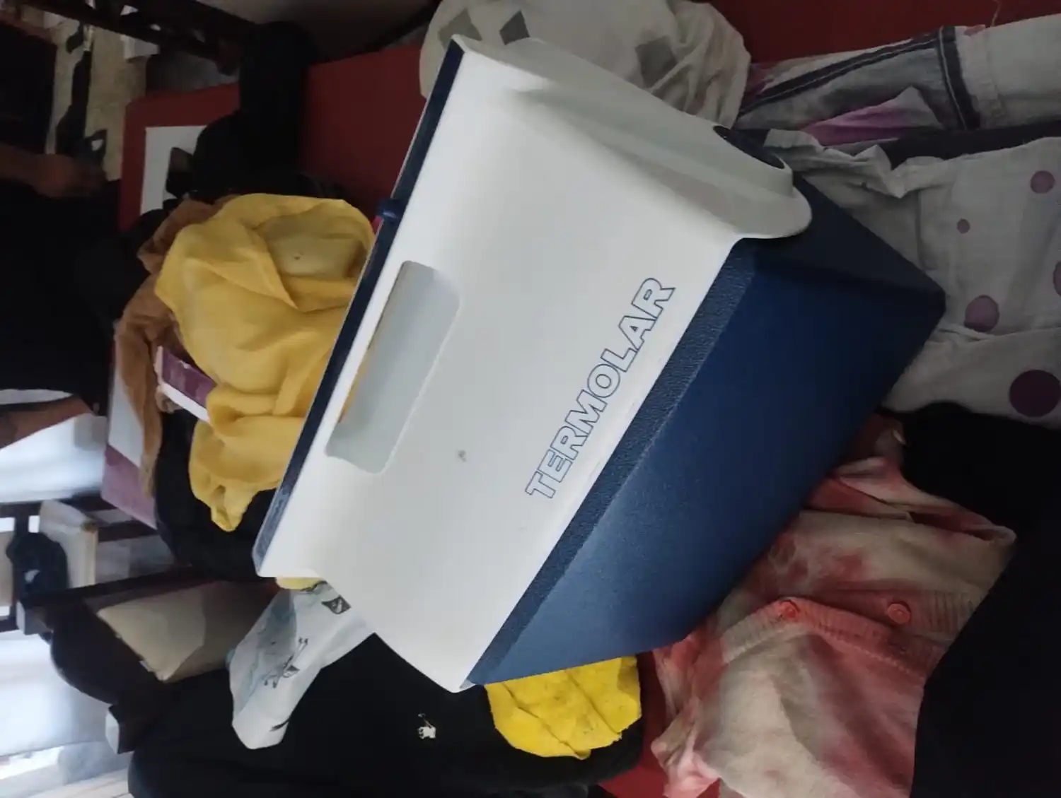 La conservadora fue encontrada en Balcarce al 200.