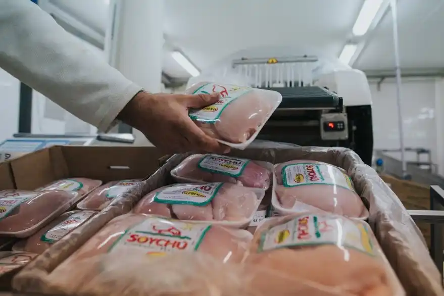 La situación del sector avícola