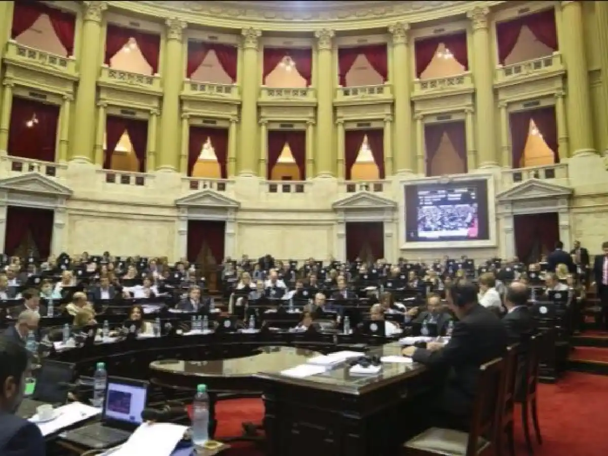 El DNU para agilizar al Estado será analizado en el Congreso el martes próximo