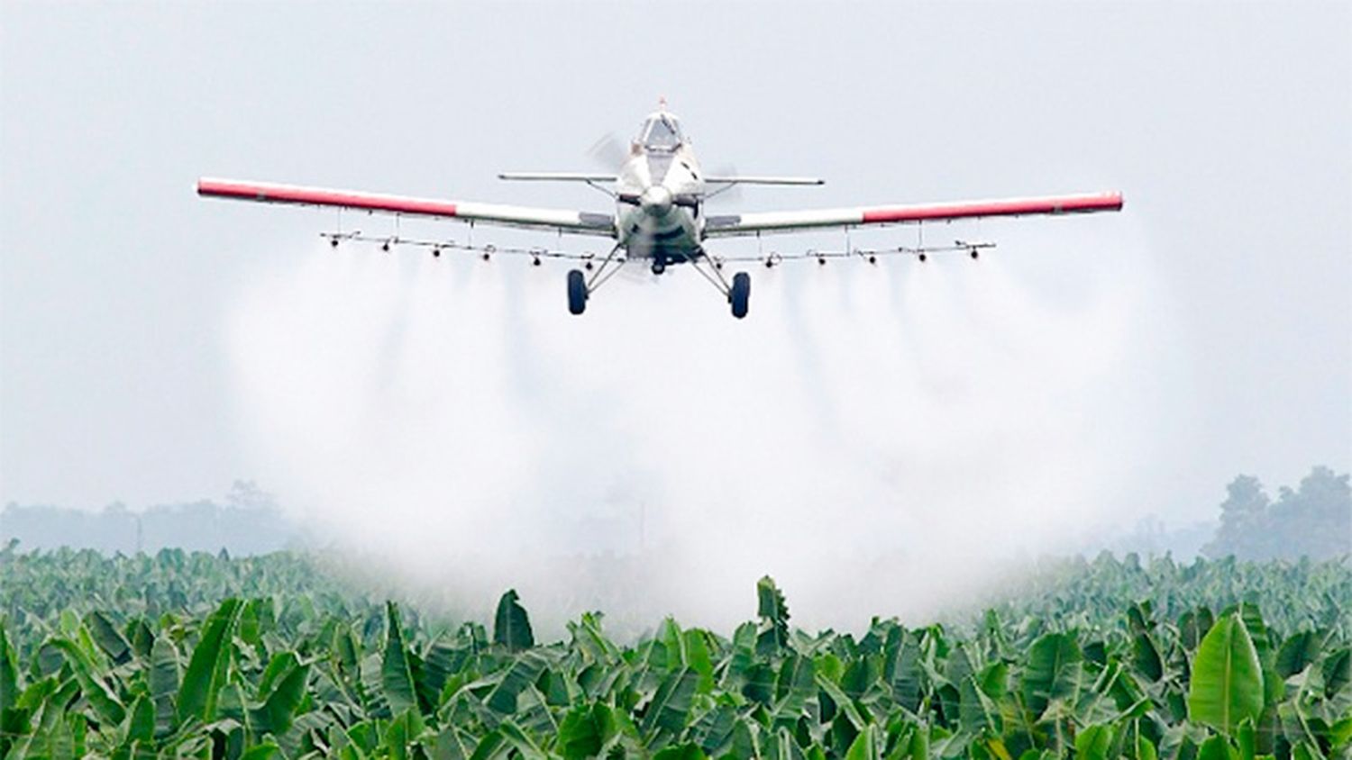 Diputados continuará con el debate del proyecto de ley que regula el uso de agroquímicos en Entre Ríos