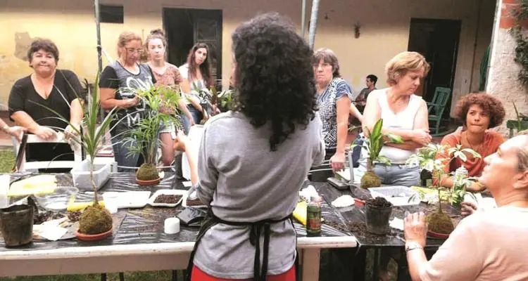 Talleres en Casa Raíz