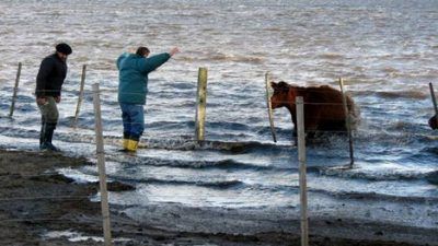 Bolívar: El Presidente de la Sociedad Rural dice que "el distrito está bajo el agua”