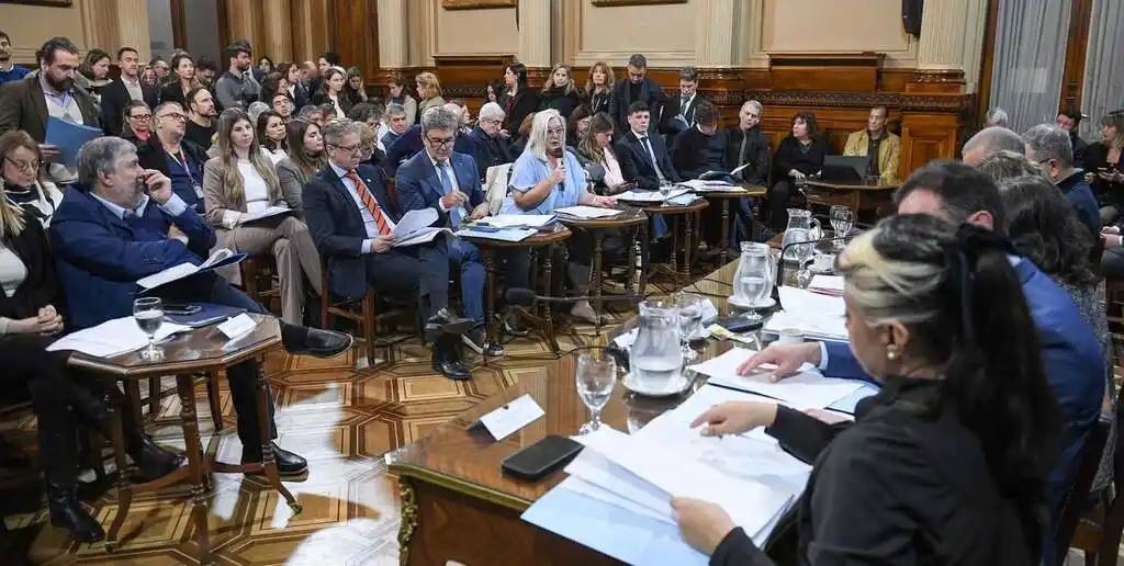 La oposición acelera el tratamiento de emergencia pediátrica y financiamiento universitario en el Senado. Foto: HCSN.