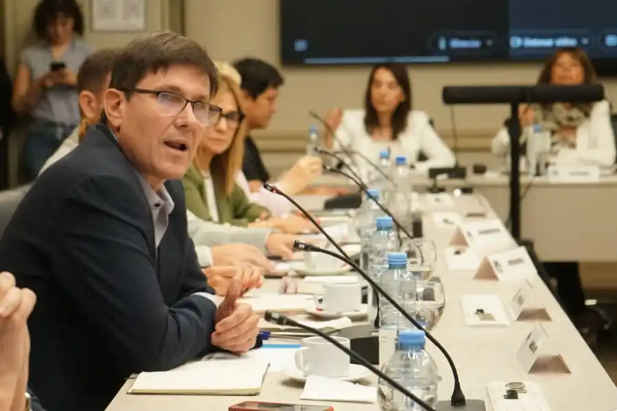 Goity llevó la agenda de Santa Fe al Consejo Federal de Educación