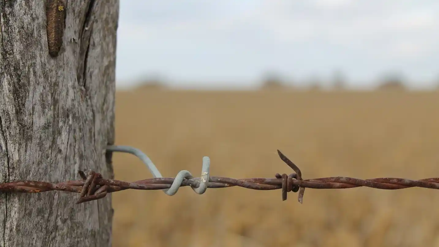 La baja de las retenciones a cero para los granos y la carne vacuna y aviar tuvo el objetivo de fortalecer las reservas del Banco Central.
