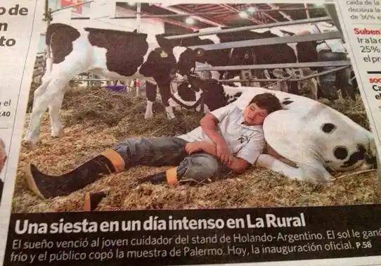 El Gobierno repudió la tapa de Clarín que muestra a un niño trabajando en la Rural
