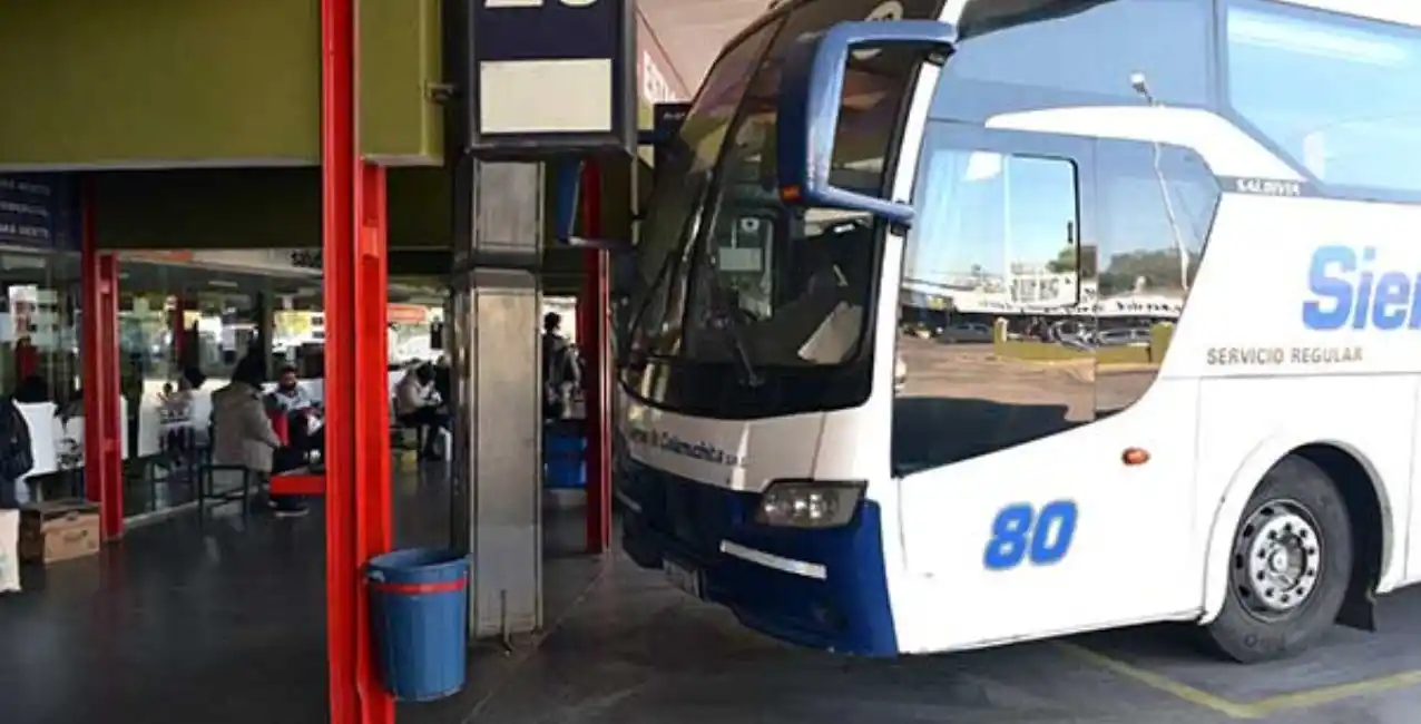 Córdoba: un colectivero atropelló y mató a un compañero de trabajo