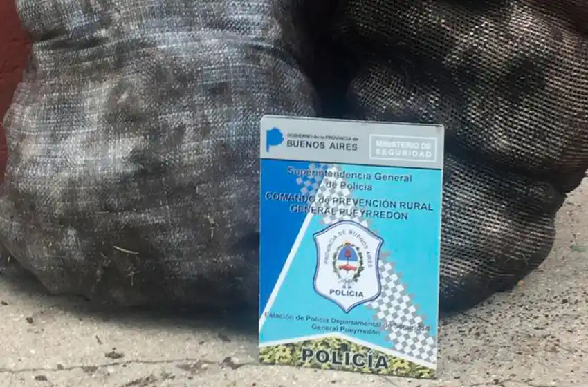 Robaron 40 kilos de papa y los descubrieron cuando corrían "a campo traviesa"