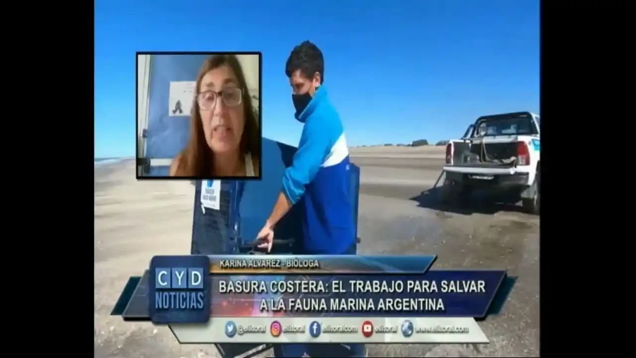 El 84% de los residuos encontrados en la costa argentina es plástico