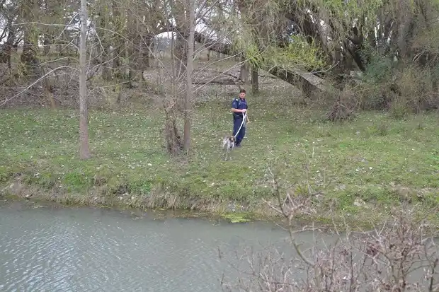 Dos perros rastreadores rastrillaron la zona de El  Sauce en busca de Dolche