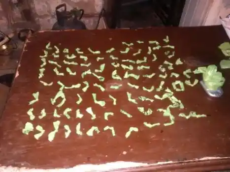 Cayó una banda narco liderada por abuelita de 77 años