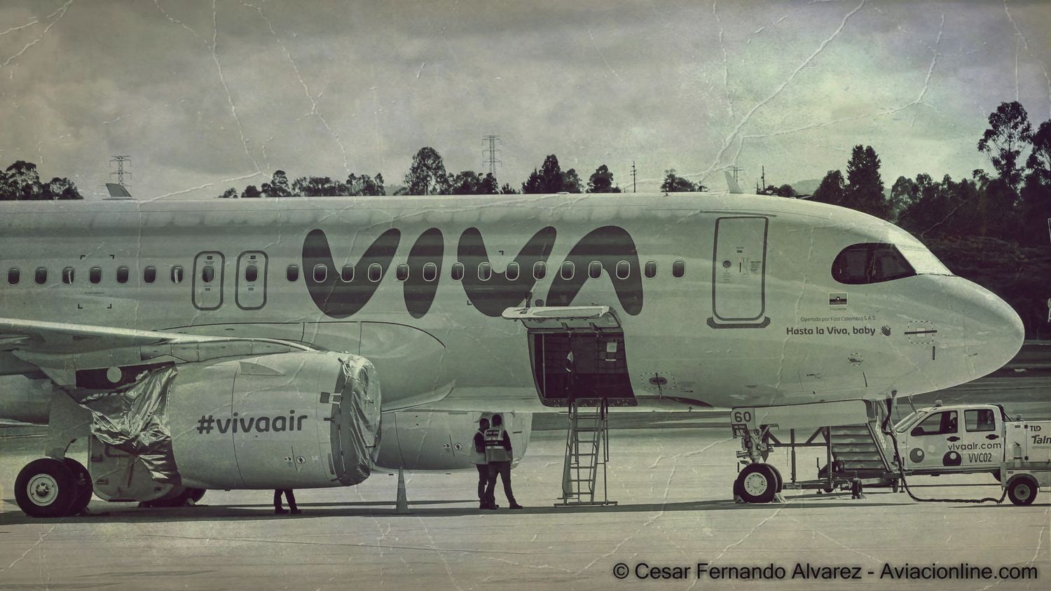«Fue un gran vuelo»: VIVA se despide para siempre con una emotiva carta