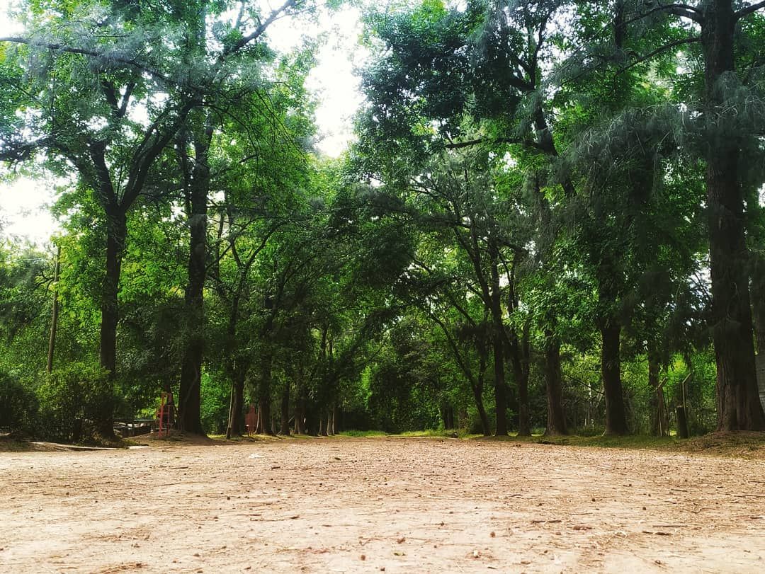 La Reserva Natural de Moreno agotó las cabañas para el verano: Cuánto sale acampar en el predio de 268 hectáreas