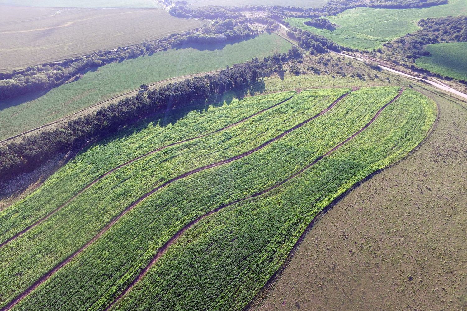 Proyectos de conservación de suelos: hay tiempo hasta marzo