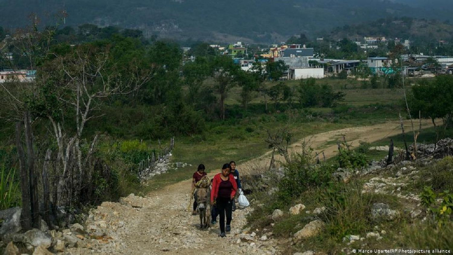 VIOLENCIA DESATADA por el crimen organizado causa terror al sur de México: hay más de 4.000 desplazados