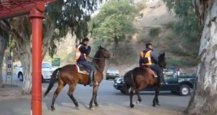 Con caballos y patrullero, mayor presencia y menos delitos