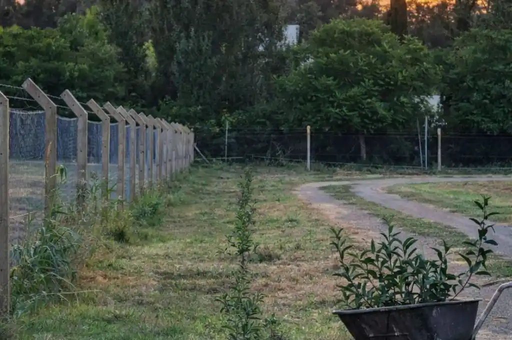 Trabajos de forestación en el predio del Aero Club de Rafaela