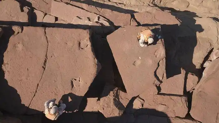 Prefectura encontró huellas prehistóricas  de un dinosaurio en la Patagonia