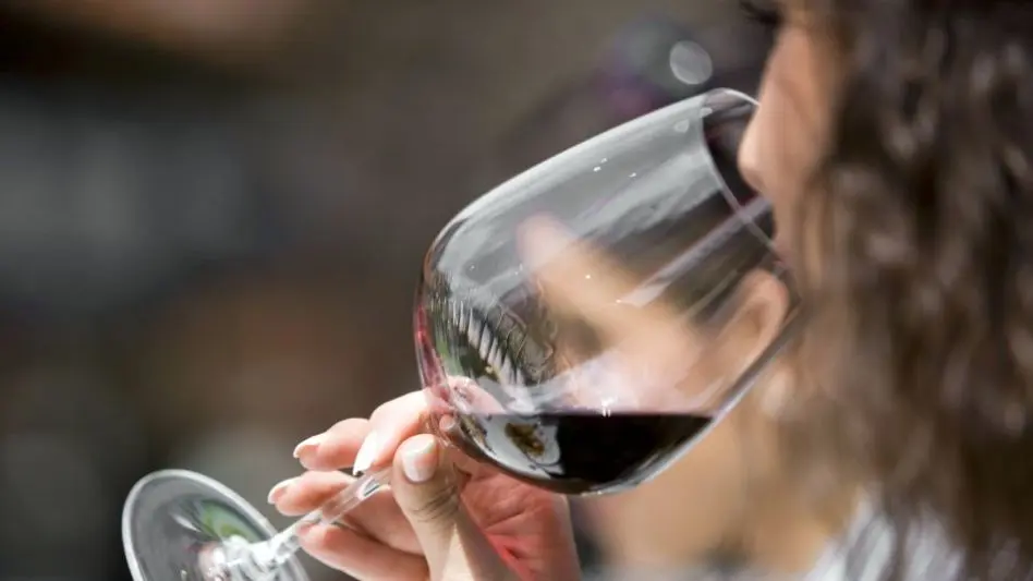 Crecimiento del turismo del vino en Mar del Plata y la zona