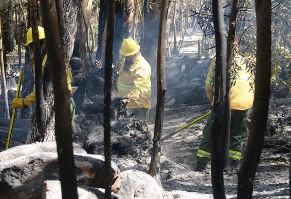 Incendio en las sierras: finalizó la guardia de cenizas y el fuego está controlado