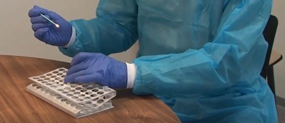 Coronavirus: 23 positivos entre los 75 resultados recibidos