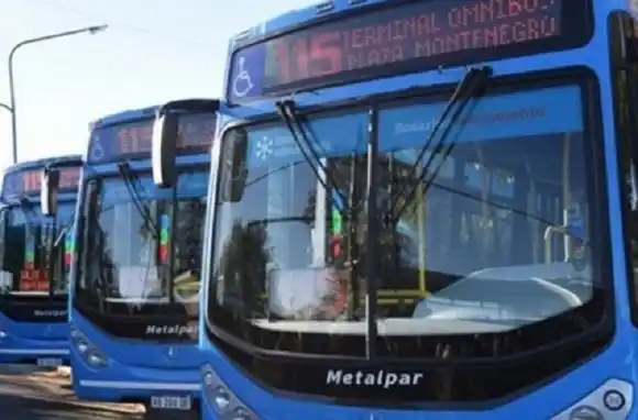 Vuelven a circular los colectivos en Rosario, luego de 10 días de paro