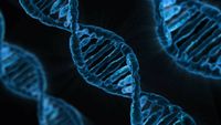 Hacia una base de datos de ADN universal