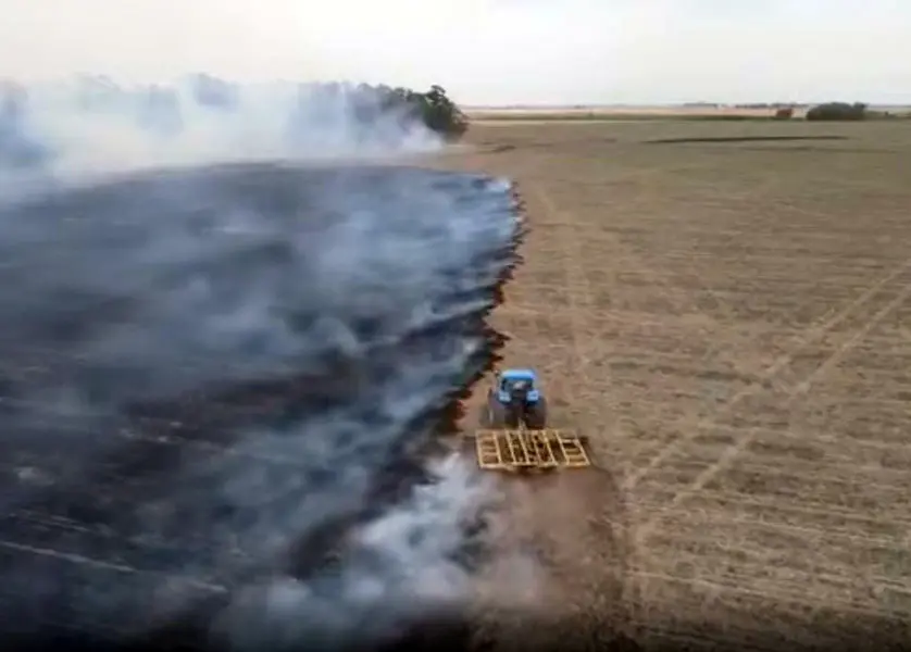 Se incendiaron 100 hectáreas con pinos, rastrojos y trigo cerca de Las Cascadas