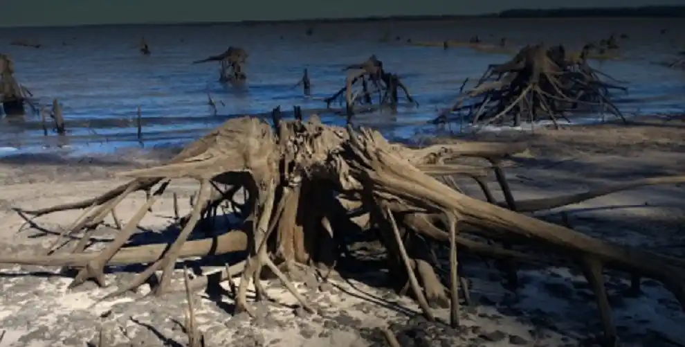 Turismo por un día en Federación para el 9 de julio