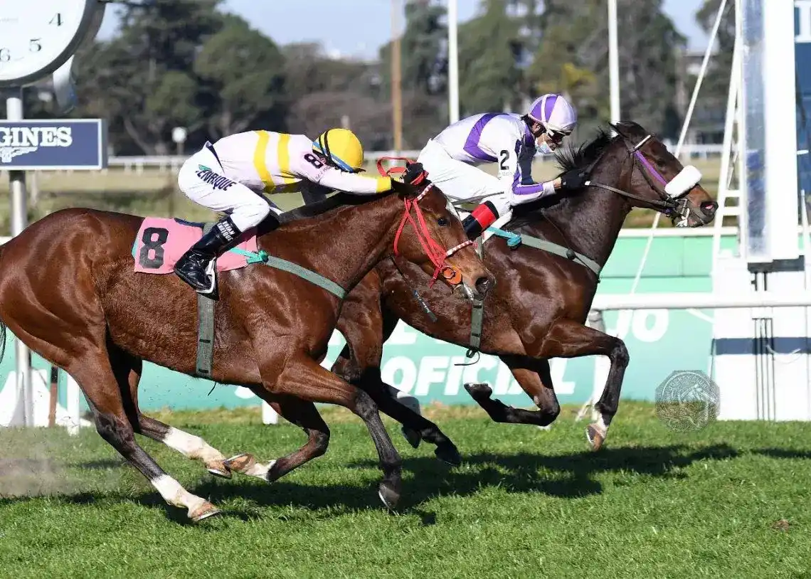 Martes 17: Actividad en el Hipódromo de San Isidro