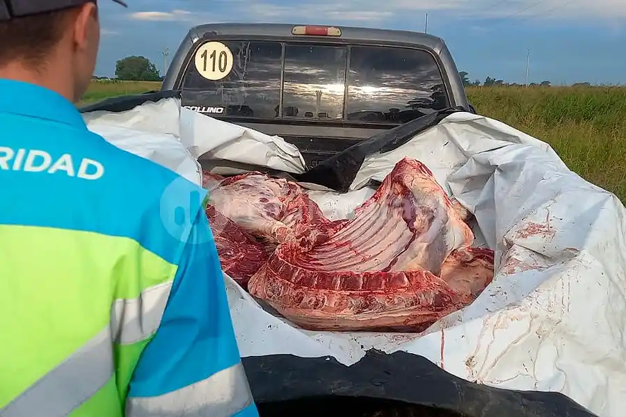 Lo agarraron yendo a una carnicería de San Vicente para entregar un animal faenado en el campo