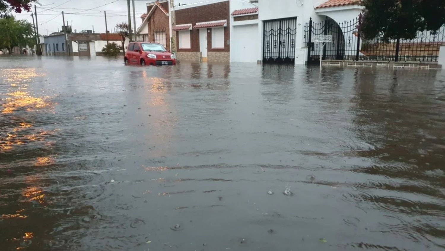 Foto: Rolando Ramos