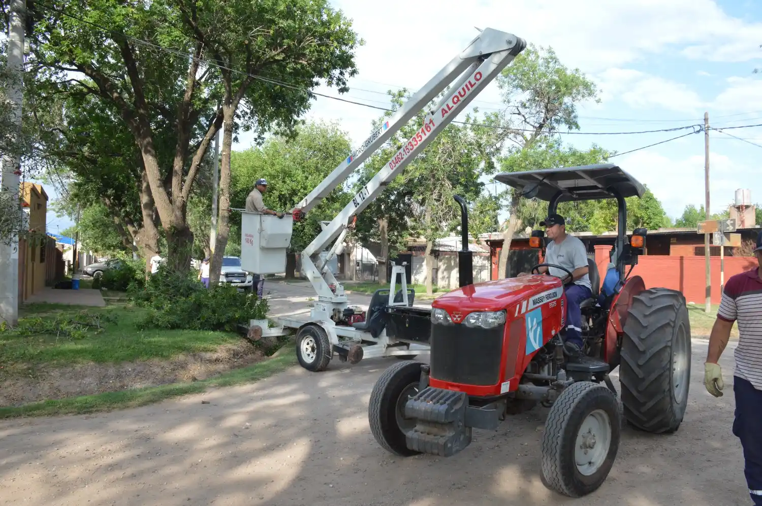 El gobierno municipal refuerza los trabajos de poda