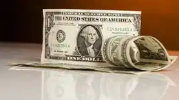 Tras una fuerte baja inicial, el dolar recortó la caída y terminó cerrando en $1460