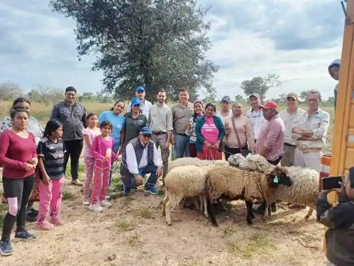 Entregaron reproductores ovinos a la 
comunidad Qoom Le’ec de Ingeniero Juárez