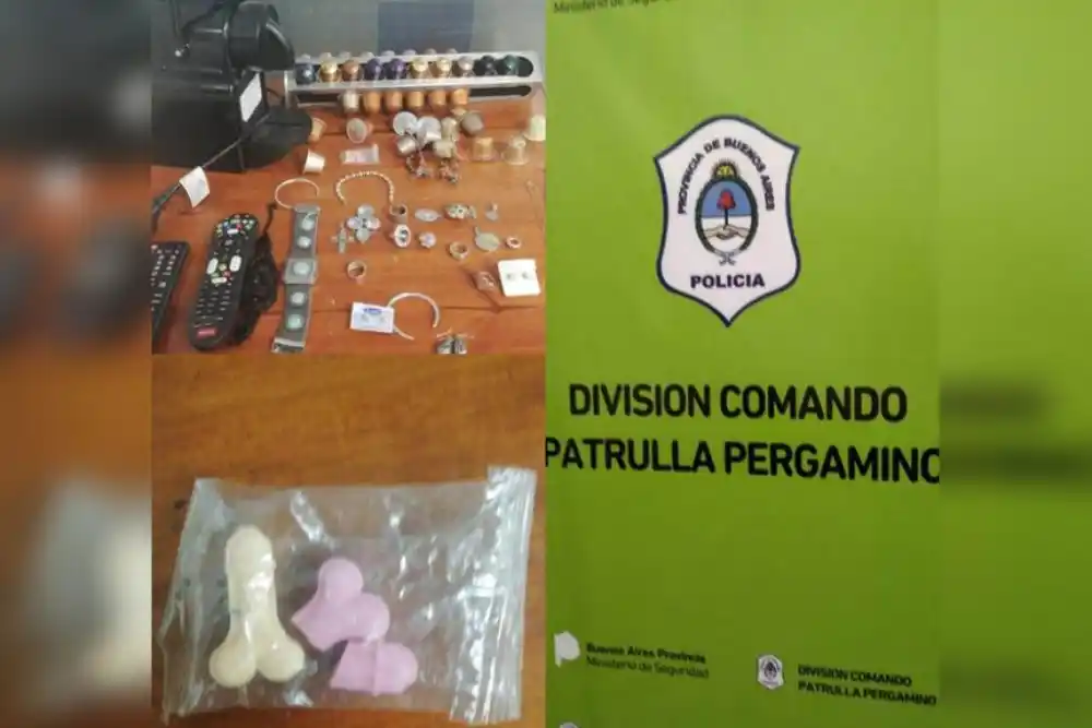 Insólito: Lo detuvieron por entrar a robar juguetes sexuales en una casa de Pergamino