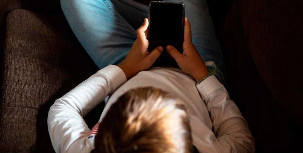 Las redes sociales se convirtieron en un espacio de riesgo para los más jóvenes.