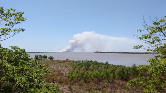 Ecocidio en islas: Manejo del Fuego mantiene a los brigadistas ante la aparición de nuevos focos